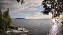 ./images/koeye/fitz-hugh/20250521/fitz-hugh20250521_193509M.jpg