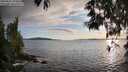 ./images/koeye/fitz-hugh/20250521/fitz-hugh20250521_194009M.jpg