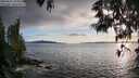 ./images/koeye/fitz-hugh/20250521/fitz-hugh20250521_194509M.jpg