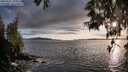 ./images/koeye/fitz-hugh/20250521/fitz-hugh20250521_195508M.jpg