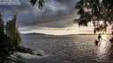 ./images/koeye/fitz-hugh/20250521/fitz-hugh20250521_200009M.jpg