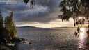 ./images/koeye/fitz-hugh/20250521/fitz-hugh20250521_200508M.jpg