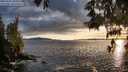 ./images/koeye/fitz-hugh/20250521/fitz-hugh20250521_201009M.jpg