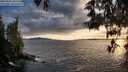./images/koeye/fitz-hugh/20250521/fitz-hugh20250521_201507M.jpg