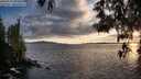 ./images/koeye/fitz-hugh/20250521/fitz-hugh20250521_202009M.jpg