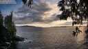 ./images/koeye/fitz-hugh/20250521/fitz-hugh20250521_202507M.jpg