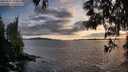 ./images/koeye/fitz-hugh/20250521/fitz-hugh20250521_203009M.jpg