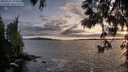 ./images/koeye/fitz-hugh/20250521/fitz-hugh20250521_204009M.jpg