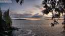 ./images/koeye/fitz-hugh/20250521/fitz-hugh20250521_204509M.jpg