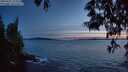 ./images/koeye/fitz-hugh/20250521/fitz-hugh20250521_221009M.jpg