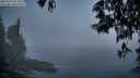 ./images/koeye/fitz-hugh/20250522/fitz-hugh20250522_051009M.jpg