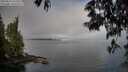 ./images/koeye/fitz-hugh/20250522/fitz-hugh20250522_075010M.jpg
