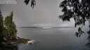 ./images/koeye/fitz-hugh/20250522/fitz-hugh20250522_075510M.jpg