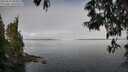 ./images/koeye/fitz-hugh/20250522/fitz-hugh20250522_094011M.jpg