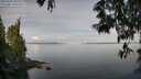./images/koeye/fitz-hugh/20250522/fitz-hugh20250522_094511M.jpg