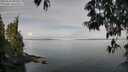 ./images/koeye/fitz-hugh/20250522/fitz-hugh20250522_095010M.jpg