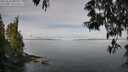 ./images/koeye/fitz-hugh/20250522/fitz-hugh20250522_095510M.jpg
