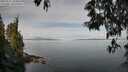./images/koeye/fitz-hugh/20250522/fitz-hugh20250522_100012M.jpg