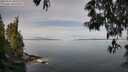 ./images/koeye/fitz-hugh/20250522/fitz-hugh20250522_100510M.jpg