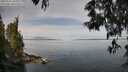 ./images/koeye/fitz-hugh/20250522/fitz-hugh20250522_101010M.jpg