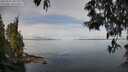 ./images/koeye/fitz-hugh/20250522/fitz-hugh20250522_101509M.jpg