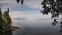 ./images/koeye/fitz-hugh/20250522/fitz-hugh20250522_102011M.jpg
