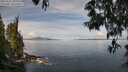 ./images/koeye/fitz-hugh/20250522/fitz-hugh20250522_102509M.jpg