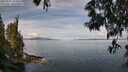 ./images/koeye/fitz-hugh/20250522/fitz-hugh20250522_103012M.jpg