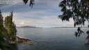 ./images/koeye/fitz-hugh/20250522/fitz-hugh20250522_103508M.jpg
