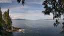 ./images/koeye/fitz-hugh/20250522/fitz-hugh20250522_104010M.jpg