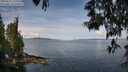 ./images/koeye/fitz-hugh/20250522/fitz-hugh20250522_110509M.jpg