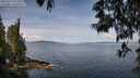 ./images/koeye/fitz-hugh/20250522/fitz-hugh20250522_111008M.jpg
