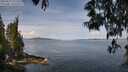 ./images/koeye/fitz-hugh/20250522/fitz-hugh20250522_111510M.jpg
