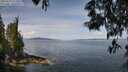 ./images/koeye/fitz-hugh/20250522/fitz-hugh20250522_112008M.jpg