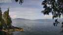 ./images/koeye/fitz-hugh/20250522/fitz-hugh20250522_112510M.jpg