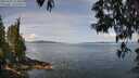 ./images/koeye/fitz-hugh/20250522/fitz-hugh20250522_113011M.jpg