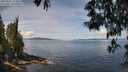 ./images/koeye/fitz-hugh/20250522/fitz-hugh20250522_113510M.jpg