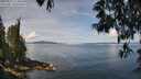 ./images/koeye/fitz-hugh/20250522/fitz-hugh20250522_114010M.jpg