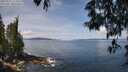 ./images/koeye/fitz-hugh/20250522/fitz-hugh20250522_114510M.jpg