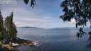 ./images/koeye/fitz-hugh/20250522/fitz-hugh20250522_115009M.jpg