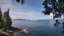 ./images/koeye/fitz-hugh/20250522/fitz-hugh20250522_115507M.jpg