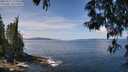 ./images/koeye/fitz-hugh/20250522/fitz-hugh20250522_120508M.jpg