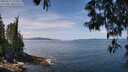 ./images/koeye/fitz-hugh/20250522/fitz-hugh20250522_121011M.jpg
