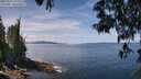 ./images/koeye/fitz-hugh/20250522/fitz-hugh20250522_121511M.jpg