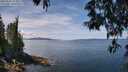 ./images/koeye/fitz-hugh/20250522/fitz-hugh20250522_122010M.jpg