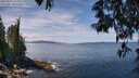 ./images/koeye/fitz-hugh/20250522/fitz-hugh20250522_122510M.jpg