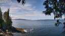 ./images/koeye/fitz-hugh/20250522/fitz-hugh20250522_123010M.jpg