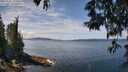./images/koeye/fitz-hugh/20250522/fitz-hugh20250522_123510M.jpg