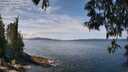 ./images/koeye/fitz-hugh/20250522/fitz-hugh20250522_124010M.jpg