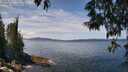 ./images/koeye/fitz-hugh/20250522/fitz-hugh20250522_124511M.jpg